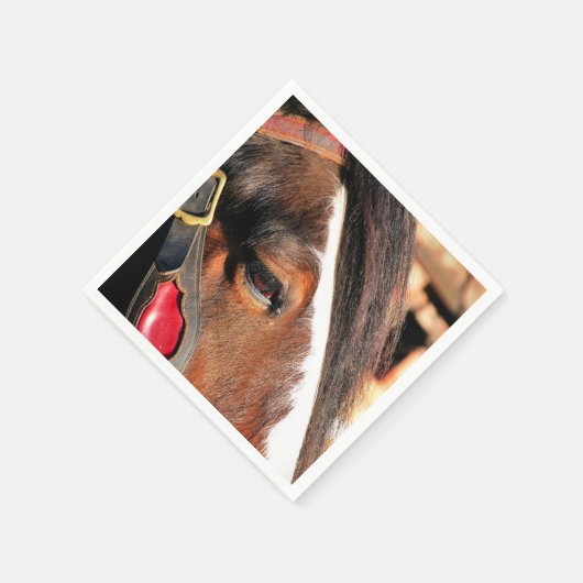 HORSES SERVETTEN (Hoek)