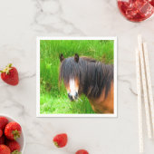 HORSES SERVETTEN (Insitu)