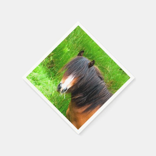 HORSES SERVETTEN (Hoek)