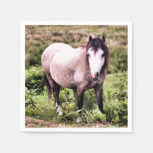 HORSES SERVETTEN (Voorkant)