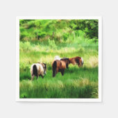 HORSES SERVETTEN (Voorkant)