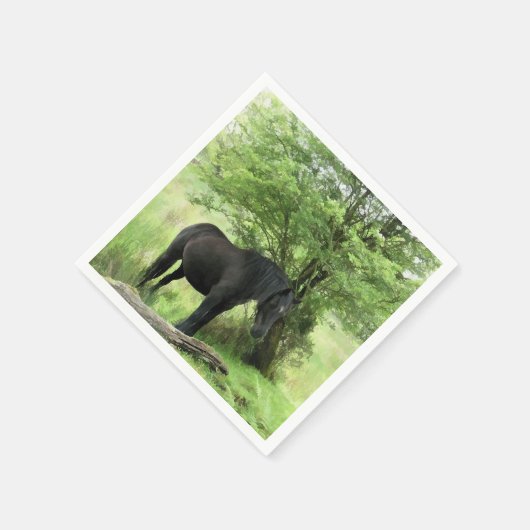 HORSES SERVETTEN (Hoek)