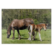 HORSES SNIJPLANK (Voorkant)