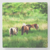 HORSES STENEN ONDERZETTER (Voorkant)