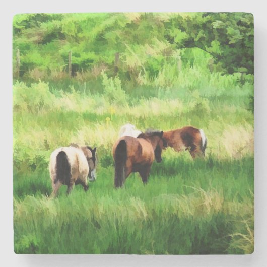 HORSES STENEN ONDERZETTER (Voorkant)