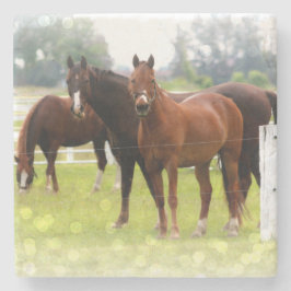 Horses Stenen Onderzetter