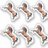 Horses Sticker (Voorkant)
