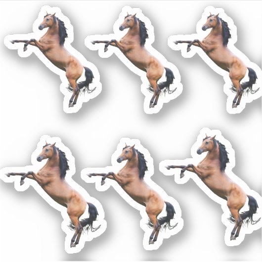 Horses Sticker (Voorkant)