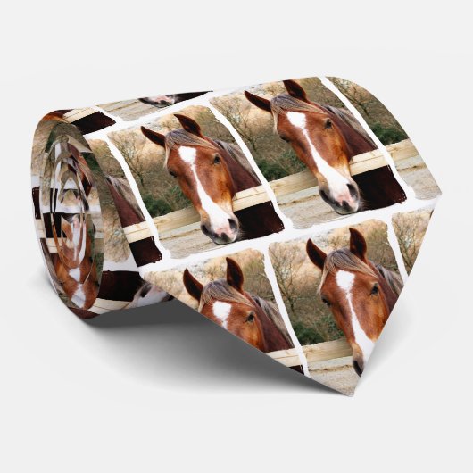 HORSES STROPDAS (Opgerold)