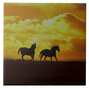 Horses Sunrise Art Tegel Tegeltje