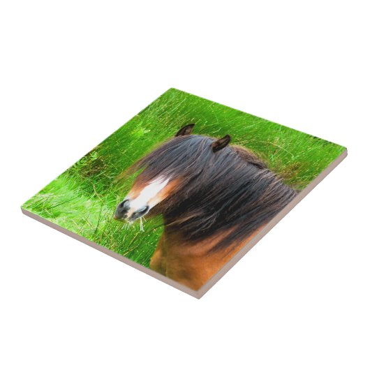 HORSES TEGELTJE (Zijkant)