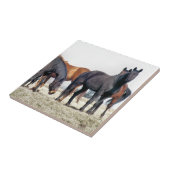 HORSES TEGELTJE (Zijkant)