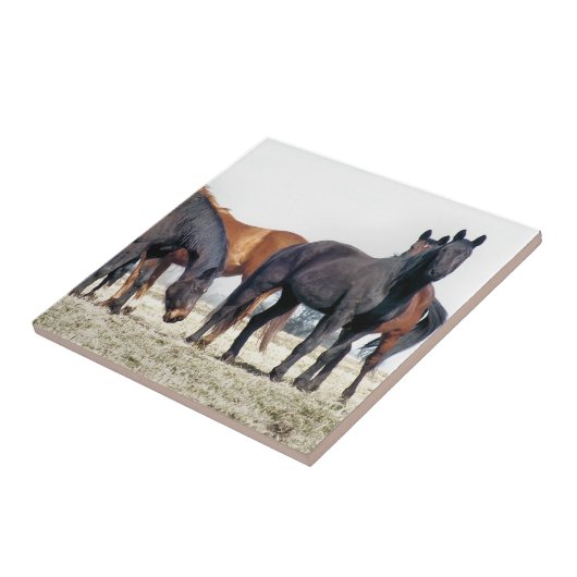 HORSES TEGELTJE (Zijkant)