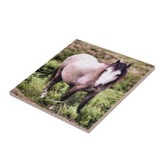 HORSES TEGELTJE (Zijkant)
