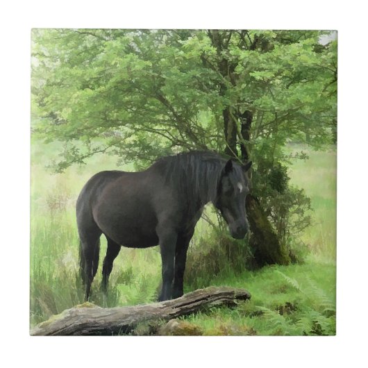 HORSES TEGELTJE (Voorkant)