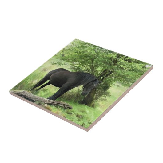 HORSES TEGELTJE (Zijkant)