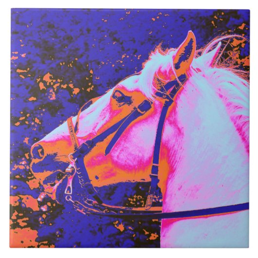 HORSES TEGELTJE (Voorkant)