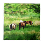 HORSES TEGELTJE (Voorkant)