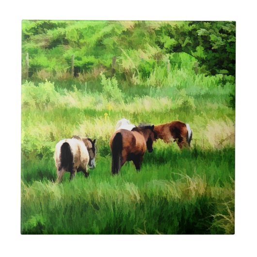 HORSES TEGELTJE (Voorkant)