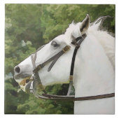 HORSES TEGELTJE (Voorkant)