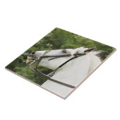 HORSES TEGELTJE (Zijkant)