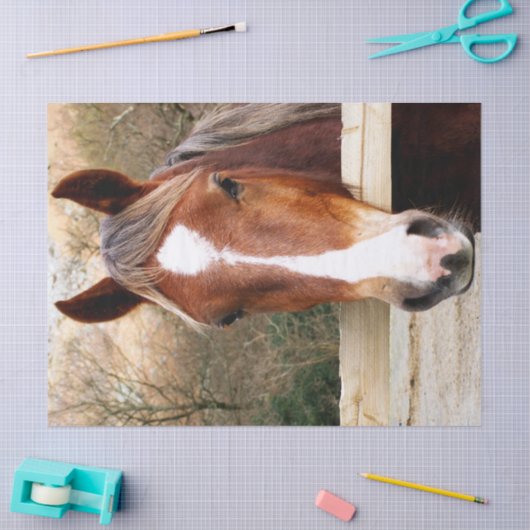 HORSES TISSUEPAPIER (Craft)