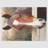 HORSES TISSUEPAPIER (Voorkant)