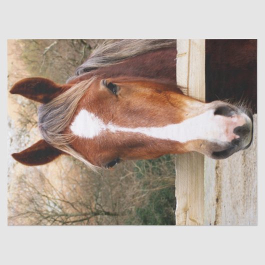 HORSES TISSUEPAPIER (Voorkant)