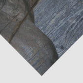 Horses Tissuepapier (Detail)