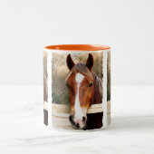 HORSES TWEEKLEURIGE KOFFIEMOK (Center)