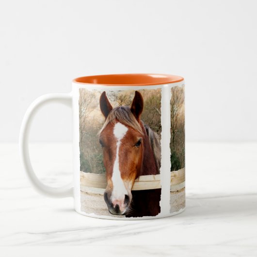 HORSES TWEEKLEURIGE KOFFIEMOK (Links)