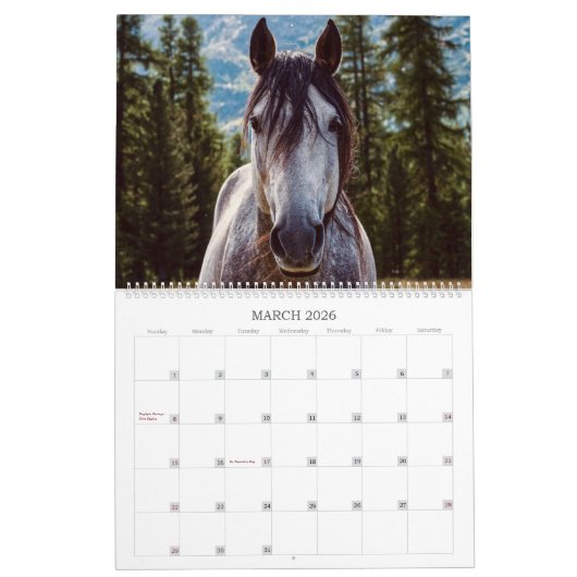 Horses Unbridled Wildlife Photography Custom Year Kalender (Mar 2026)