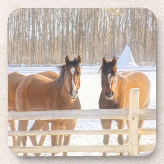 Horses Vermont Winter Hard Plastic Coaster Bier Onderzetter (Voorkant)