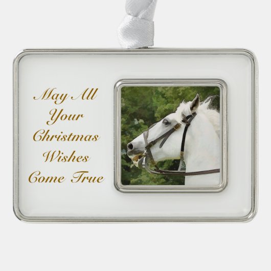 HORSES VERZILVERD OMLIJST ORNAMENT (Voorkant)