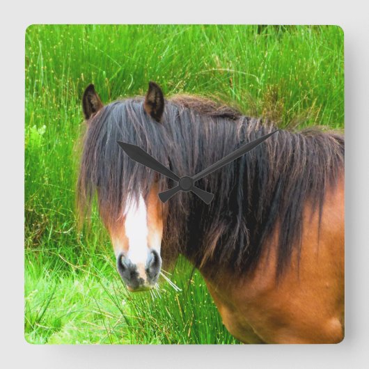 HORSES VIERKANTE KLOK (Voorkant)