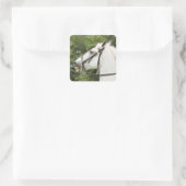 HORSES VIERKANTE STICKER (Tas)