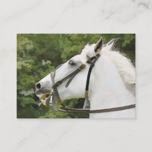HORSES VISITEKAARTJE