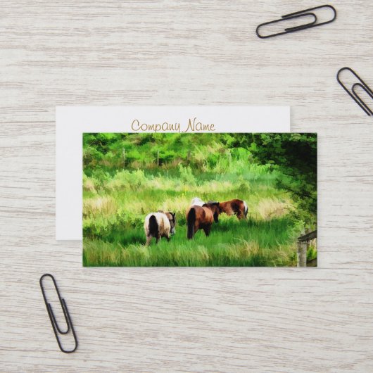 HORSES VISITEKAARTJE (Voorkant / Achterkant in situ)