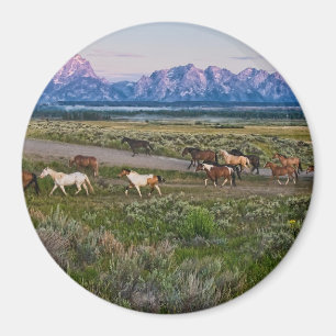 Horses Walk Magneet
