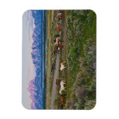 Horses Walk Magneet (Verticaal)