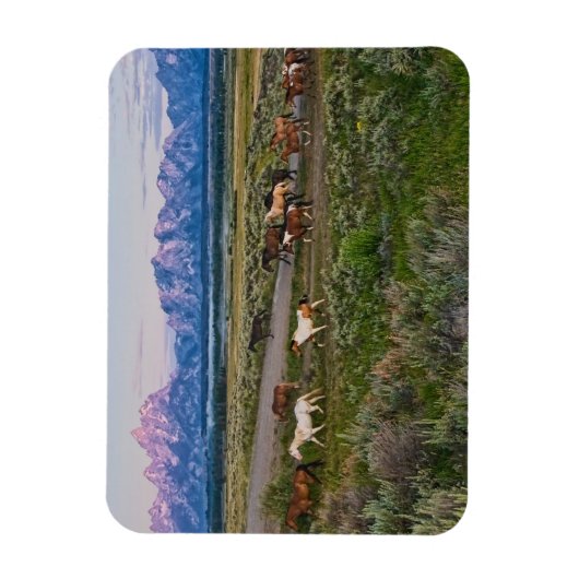 Horses Walk Magneet (Verticaal)