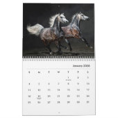 Horses Wall Agenda Kalender (Jan 2026)