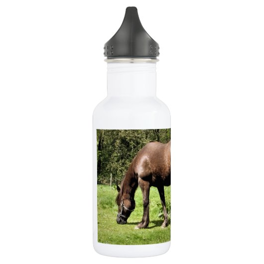 HORSES WATERFLES  (Links)