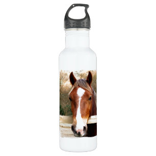 HORSES WATERFLES