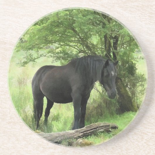 HORSES ZANDSTEEN ONDERZETTER (Voorkant)