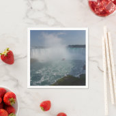 Horseshoe Falls in Niagara Falls Servet (Insitu)