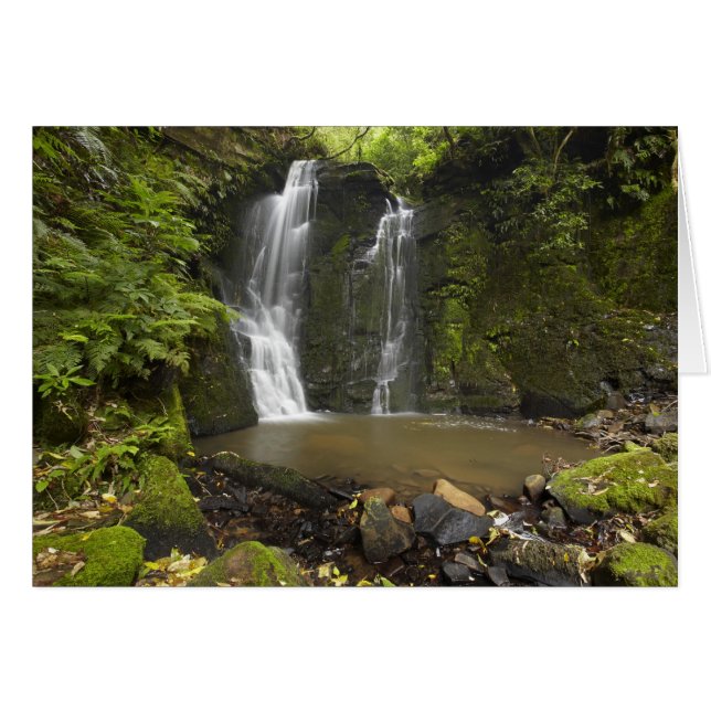 Horseshoe Falls, Matai-waterval (Voorkant Horizontaal)