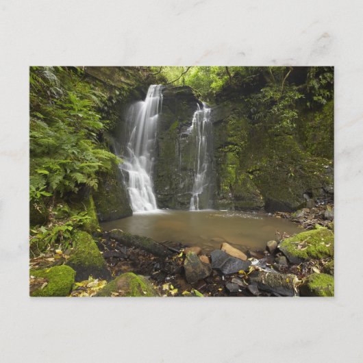 Horseshoe Falls, Matai-waterval Briefkaart (Voorkant)