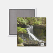 Horseshoe Falls, Mount Field National Park, Magneet (Voorkant / Achterkant)