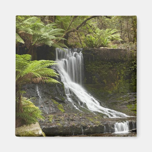 Horseshoe Falls, Mount Field National Park, Magneet (Voorkant)